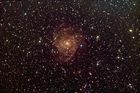 IC342-SpiralGalaxy.jpg